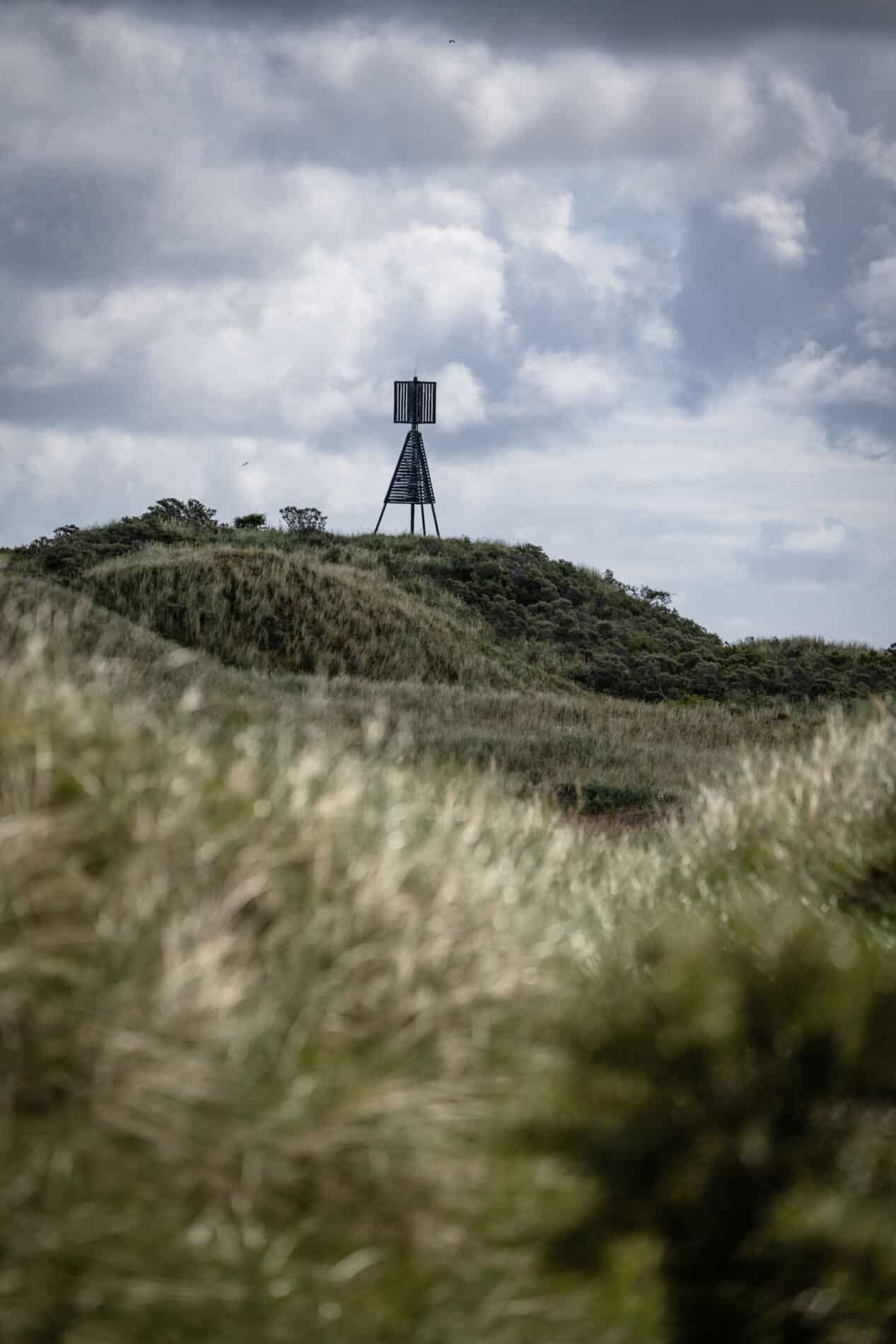 Fauna und Flora auf Juist Nationalpark-Ranger