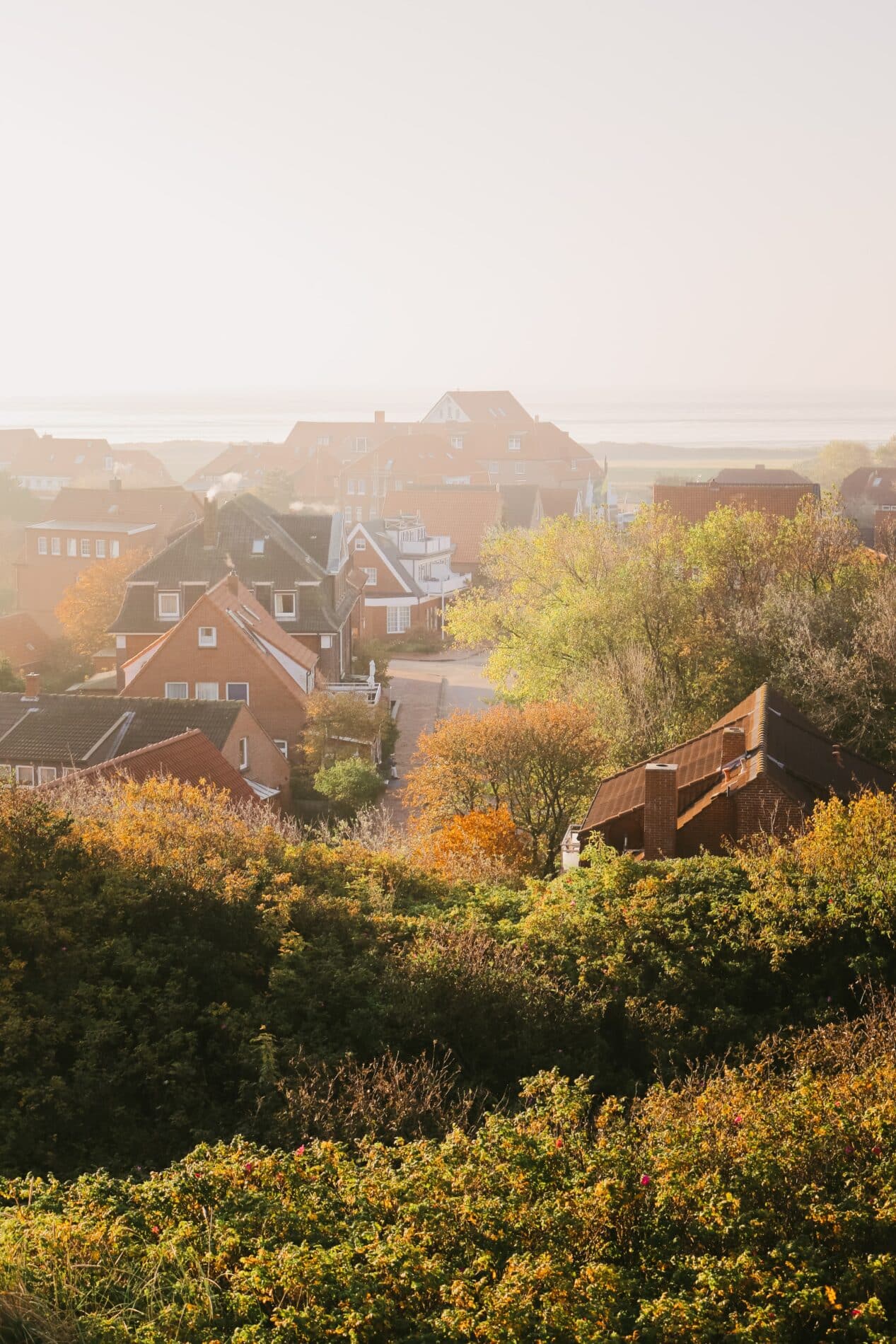 Heimat Juist Heimkehren nach Juist