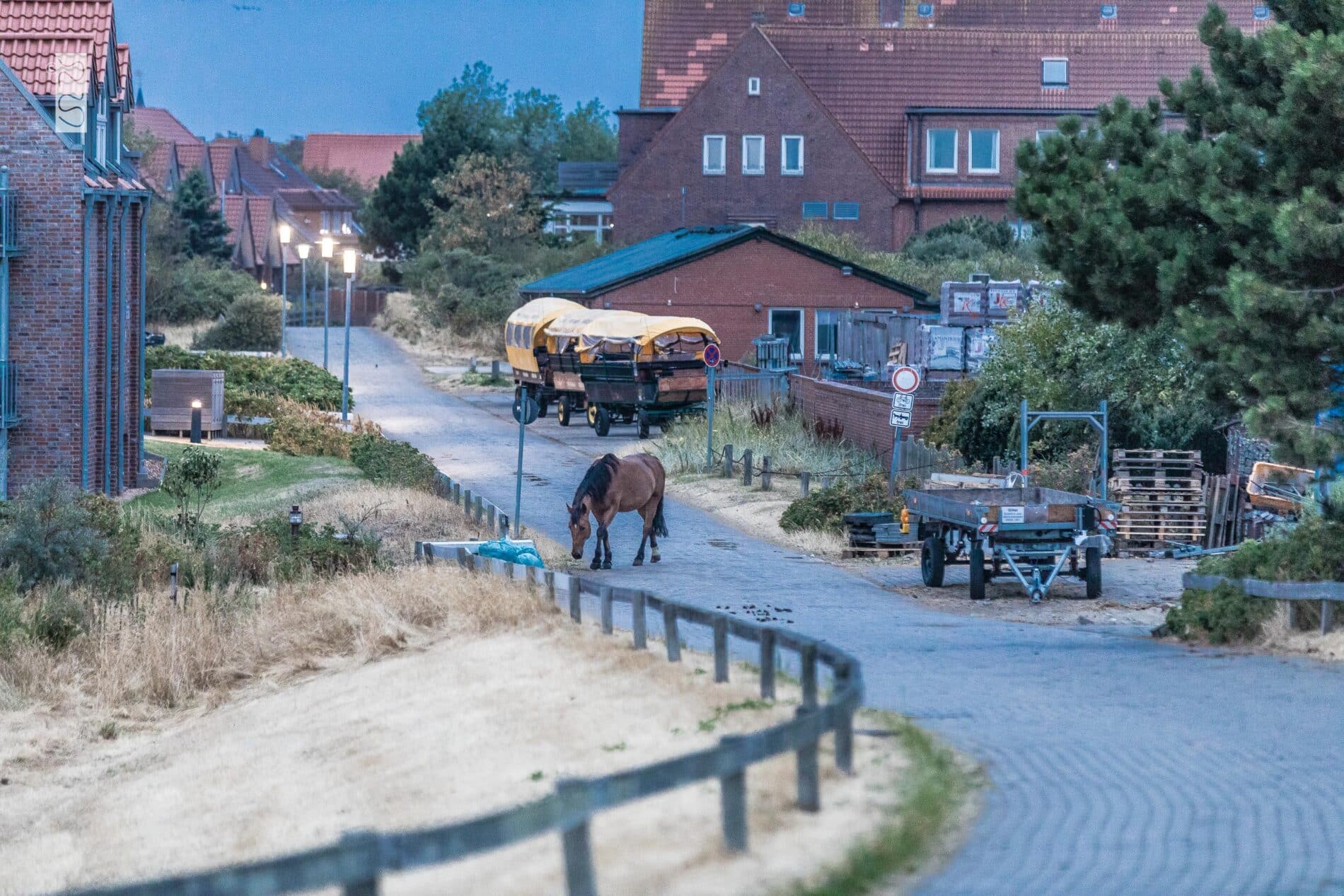 
Klimaanpassung und Nachhaltigkeit auf Juist