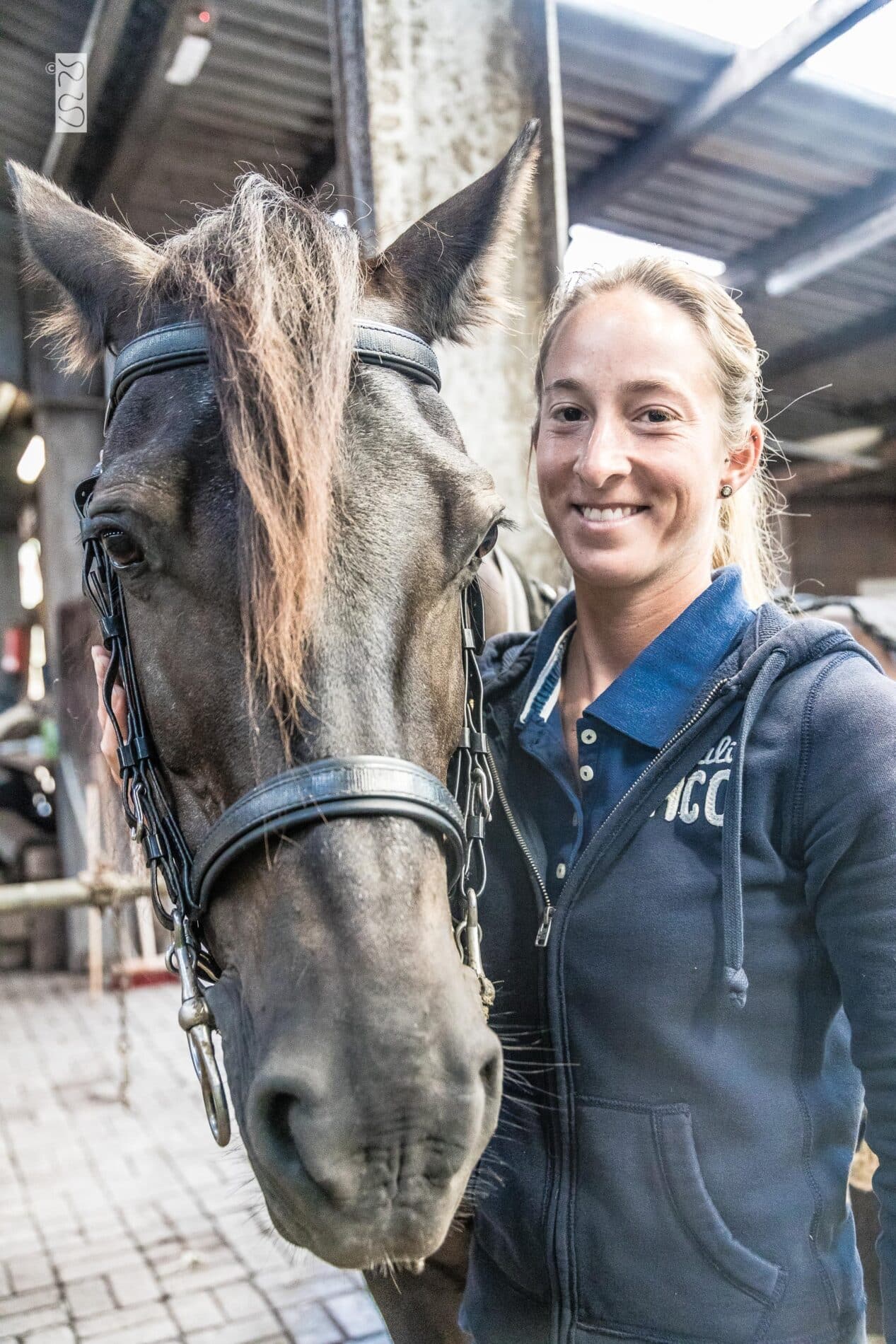 Pferdeinsel Juist Kutscherleben